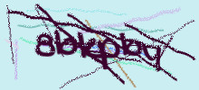 Проверочный код